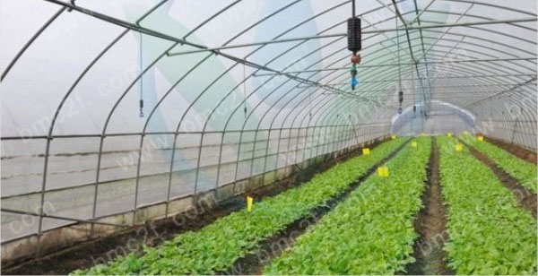 溫室降溫大棚噴霧設備應用及發展前景 溫室降溫大棚噴霧設備應用及發展前景